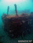 scuba diving photo