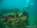 scuba diving photo