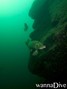scuba diving photo