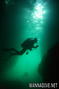 scuba diving photo