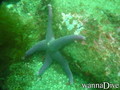 foto de buceo