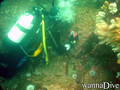 foto de buceo
