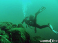scuba diving photo