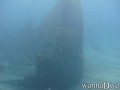 scuba diving photo