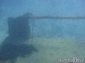 scuba diving photo