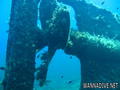 scuba diving photo