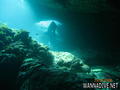 scuba diving photo