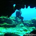 scuba diving photo