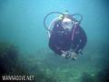 scuba diving photo