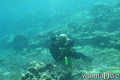 scuba diving photo