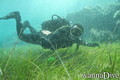 scuba diving photo