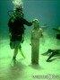 scuba diving photo