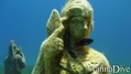 scuba diving photo