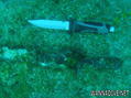 scuba diving photo