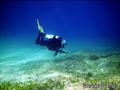 scuba diving photo