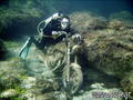 scuba diving photo