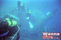 scuba diving photo