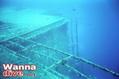 scuba diving photo