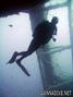 scuba diving photo