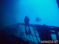 scuba diving photo