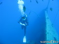 scuba diving photo