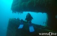 scuba diving photo