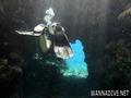 scuba diving photo