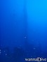 scuba diving photo