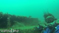 scuba diving photo