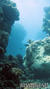 scuba diving photo