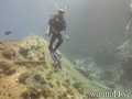 scuba diving photo