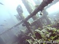 scuba diving photo