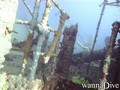 scuba diving photo
