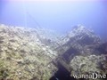 scuba diving photo