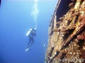 scuba diving photo