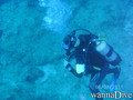 scuba diving photo