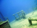 scuba diving photo
