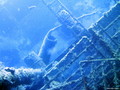 scuba diving photo