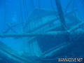 scuba diving photo