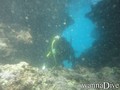 scuba diving photo