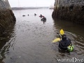 scuba diving photo