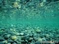 scuba diving photo