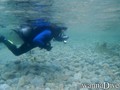 scuba diving photo