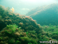 foto de buceo