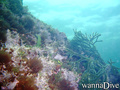 foto de buceo