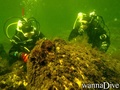 scuba diving photo