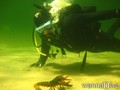 scuba diving photo