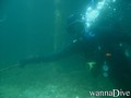 scuba diving photo