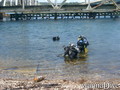 scuba diving photo