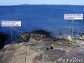 scuba diving photo